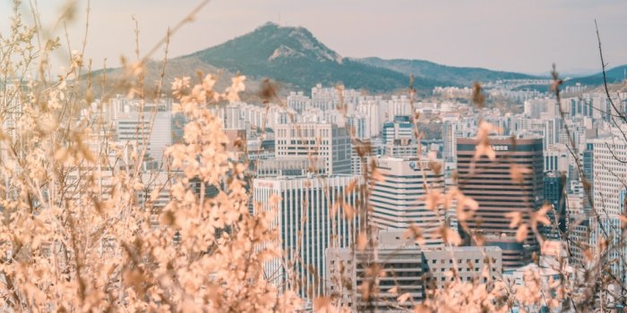 1000x800 500+ Seoul Pictures | Download Free Images on Unsplash