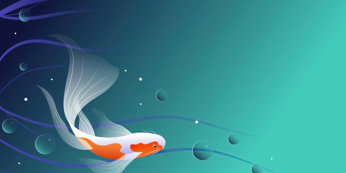 3840x2160 Fish Minimal 4k, HD Artist, 4k Wallpapers, Images, Backgrounds, Photos and  Pictures