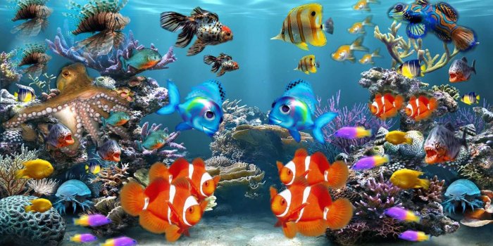 1920x1080 HD Fish Wallpaper - KoLPaPer - Awesome Free HD Wallpapers
