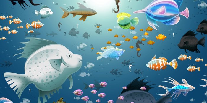 2560x1440 Fish Ultra HD Desktop Background Wallpaper for 4K UHD TV : Widescreen &  UltraWide Desktop & Laptop : Multi Display, Dual Monitor : Tablet :  Smartphone