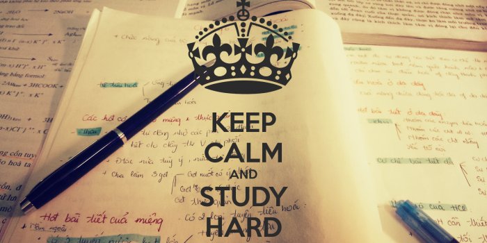 1920x1080 Study Wallpaper