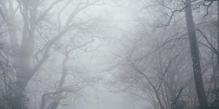 1000x1502 Scary Wallpapers: Free HD Download [500+ HQ] | Unsplash