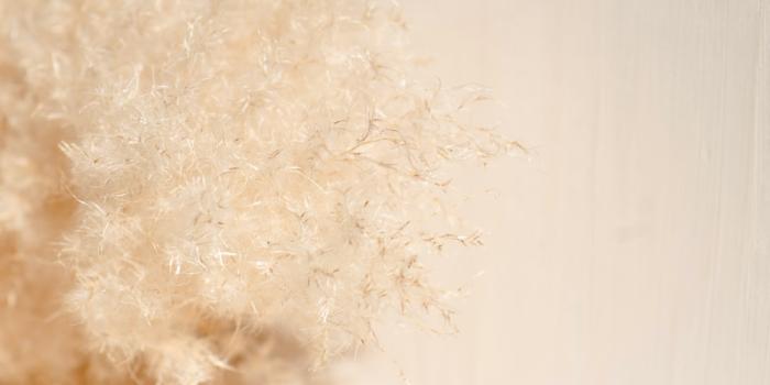 1000x1503 750+ Beige Pictures [HD] | Download Free Images on Unsplash