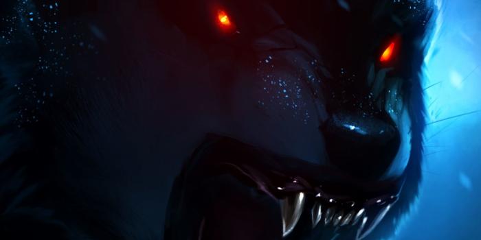 1440x2560 1440x2560, Best Of Animated Wallpaper Iphone Se Free - Wolf  Hintergrundbilder - 1440x2560 Wallpaper - teahub.io