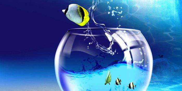 1024x768 Animated Desktop Wallpapers - Top Free Animated Desktop Backgrounds -  WallpaperAccess