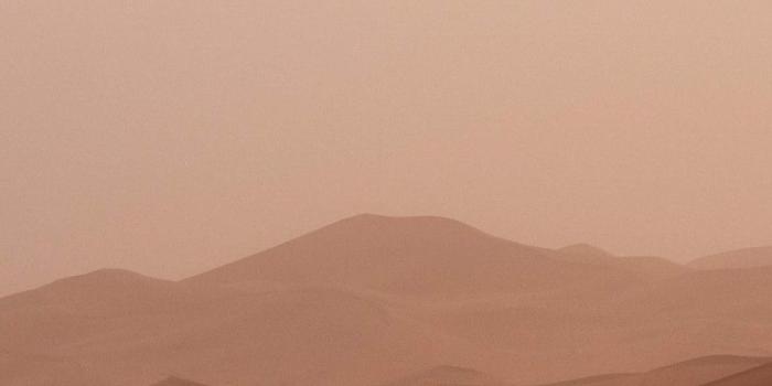 971x1942 Beige Aesthetic Wallpaper - EnJpg