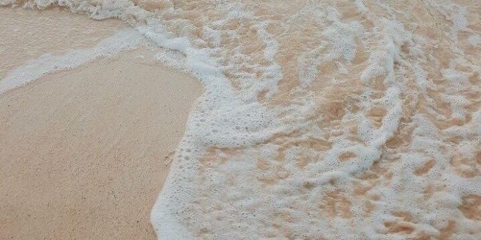 720x1280 Beige Summer Wallpapers