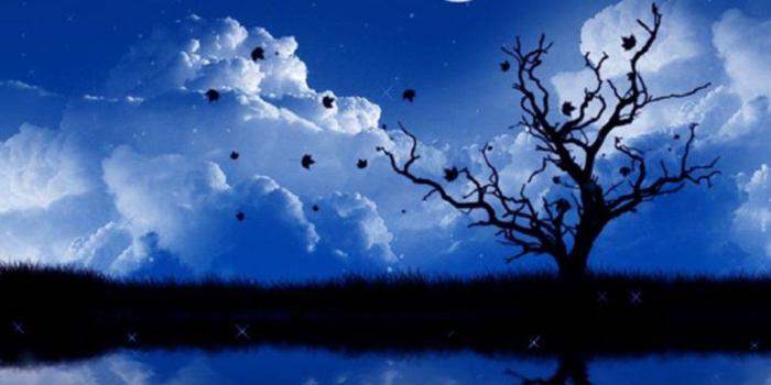 1024x768 45 3D MOVING WALLPAPERS FREE TO DOWNLOAD......... - Godfather Style | Free animated  wallpaper, 3d animation wallpaper, Moving wallpapers