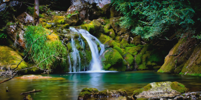 1920x1080 Animation Wallpapers - Animation Moving Wallpaper Hd - 1920x1080 Wallpaper  - teahub.io