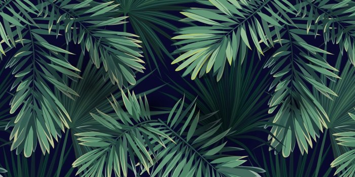 1650x1070 Green Tropical Plant Wallpaper Mural | Hovia