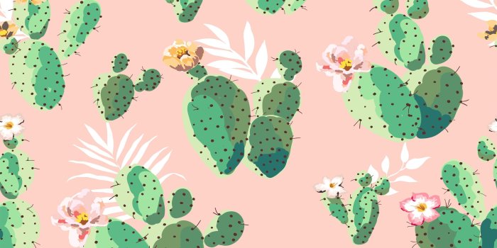 3028x1872 Cactus Plants Wallpaper for Walls | Cacti on Pink