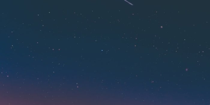 1000x1500 550+ Phone Background Star Pictures | Download Free Images on Unsplash