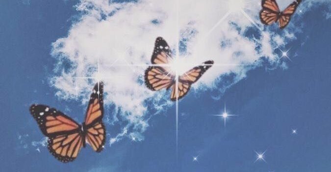 675x1200 Butterfly Wallpaper For Iphone