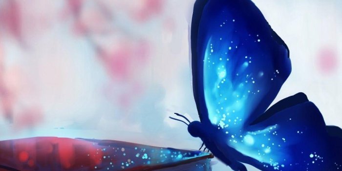 1000x1600 Phone Butterfly Wallpapers