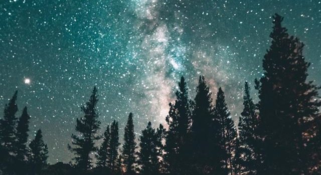 640x1385 Best Star iPhone 11 HD Wallpapers - iLikeWallpaper