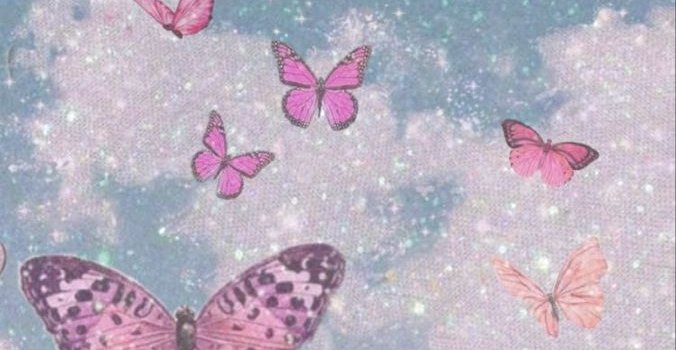 676x1200 Butterfly Wallpaper - Wallpaper Sun