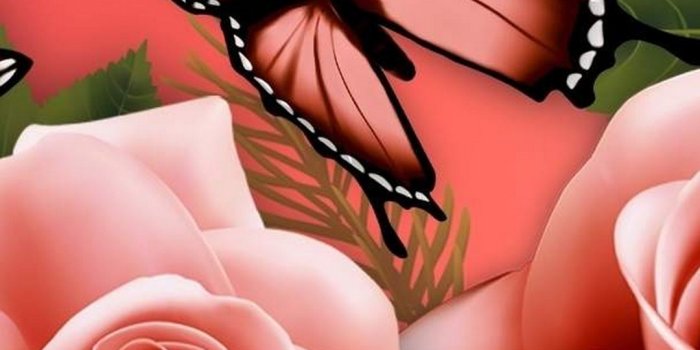 1080x1920 Butterfly Wallpaper iPhone HD | 2021 Live Wallpaper HD