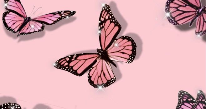 658x1200 Cute Aesthetic Pink Butterfly Wallpapers