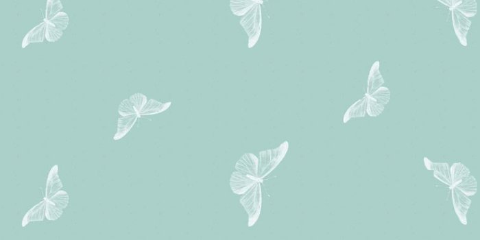 757x1477 Cute white butterfly wallpaper for phone | Free Download wallpapers