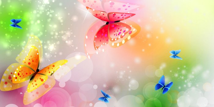 1920x1080 Butterfly Wallpapers | Best Wallpapers