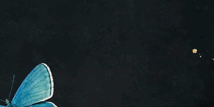 1400x2488 Blue Butterfly Wallpaper - KoLPaPer - Awesome Free HD Wallpapers