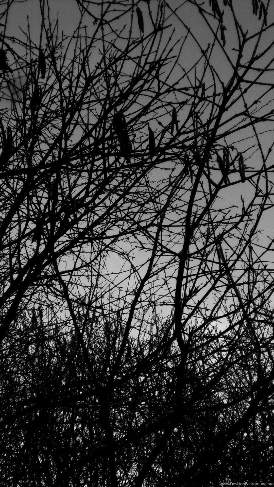 1080x1920 Silence, Wallpapers Metal Nature: Heavy Metal Wallpapers, Pictures  Desktop Background