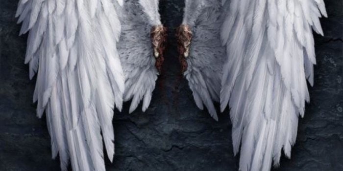 1497x3237 Lucifer Wallpaper | Lucifer, Lucifer wings, Lucifer morningstar