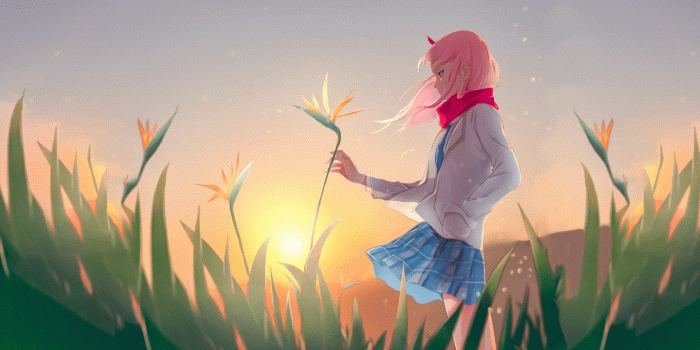 1920x1080 Zero Two Wallpapers: Top 4k Backgrounds Download