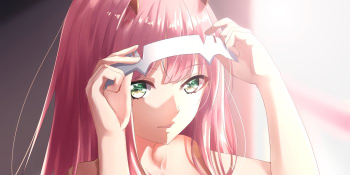 3840x2160 Zero Two from Darling in the Franxx Anime Wallpaper 4k Ultra HD ID:4667