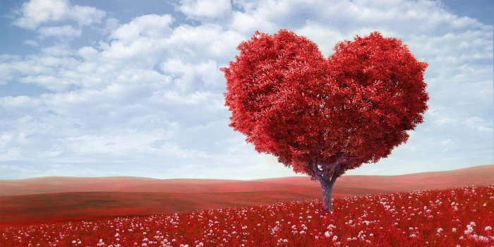1920x1080 20 Beautiful and Romantic Love Wallpaper - Blogenium - Free Wallpapers