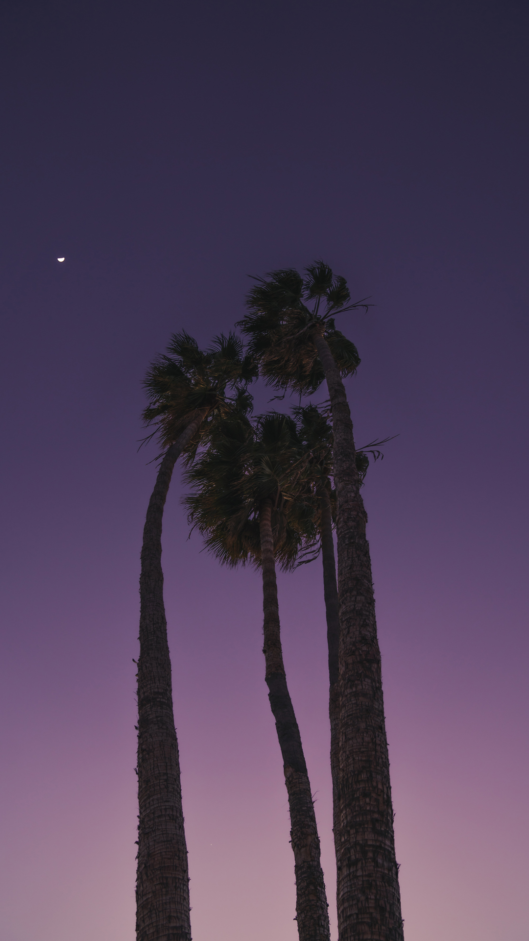 1080x1920 Purple Aesthetic Wallpaper Backgrounds For iPhone | Glory of the Snow