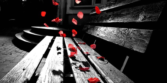 1920x1200 Romantic Wallpapers 7269 1920x1200px