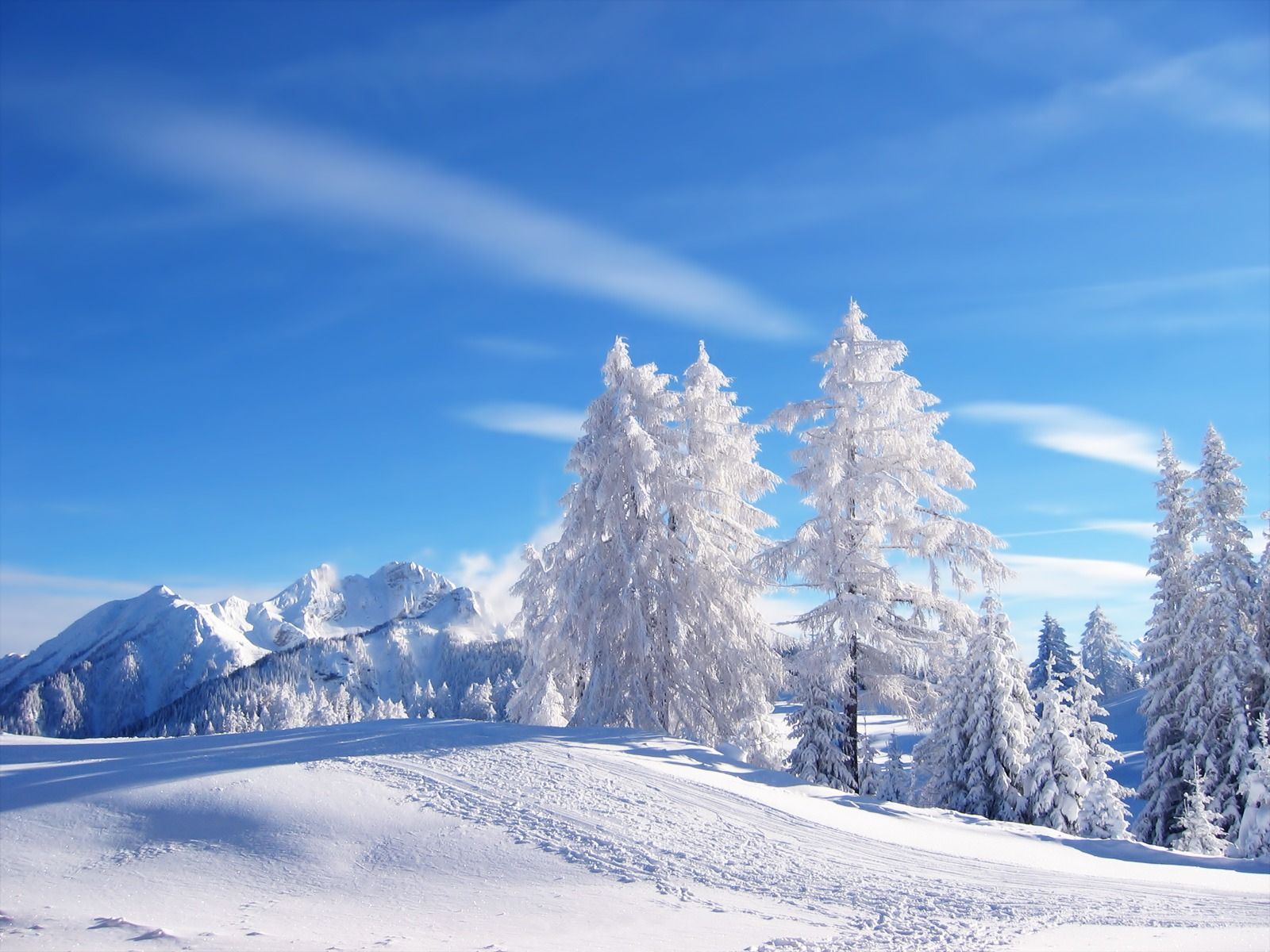 1600x1200 Snow Wallpapers - Top Free Snow Backgrounds - WallpaperAccess