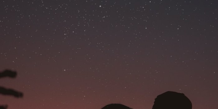 1000x1500 550+ Couple Night Pictures | Download Free Images on Unsplash