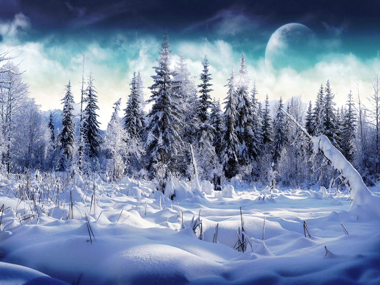 1600x1200 Free Snow Wallpapers For Desktop