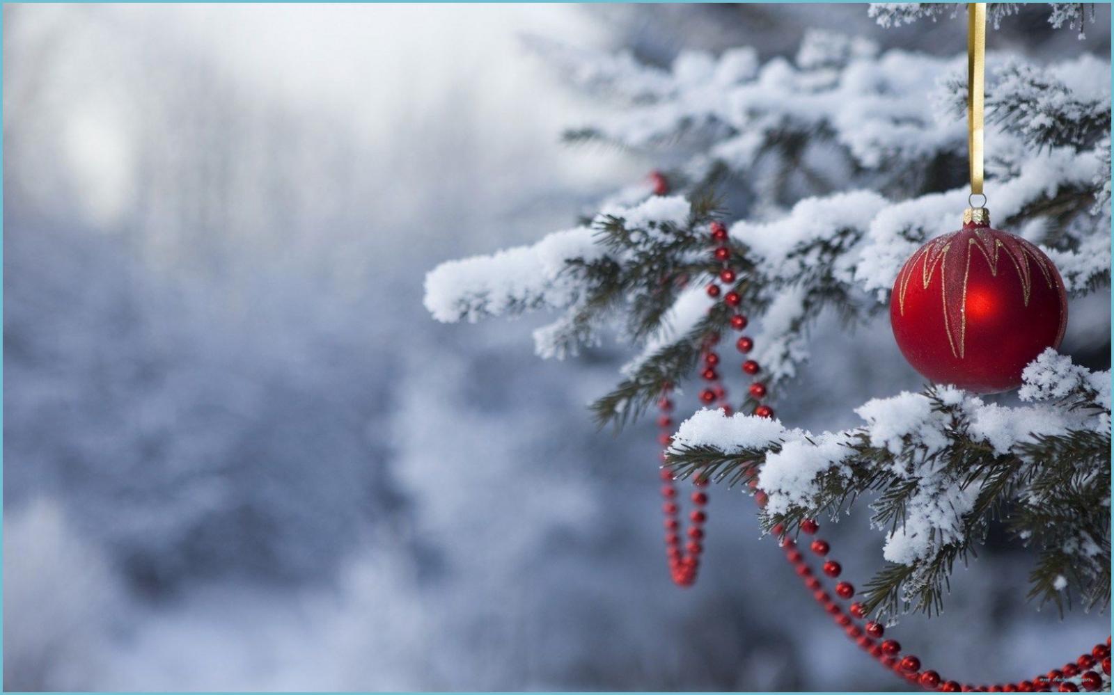 1629x1018 Christmas Snow Wallpapers - Top Free Christmas Snow Backgrounds - Snowy  Christmas Wallpaper | Neat