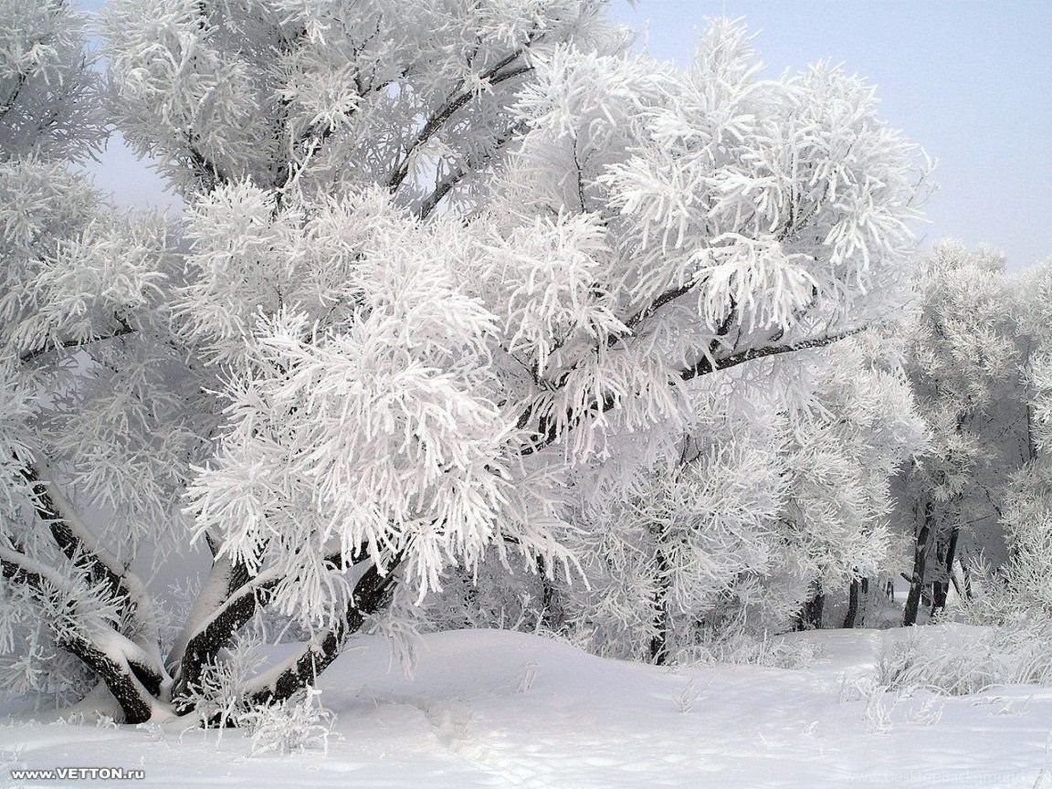 1152x864 Winter Snow Wallpapers Desktop Your Top HD Wallpapers Desktop Background