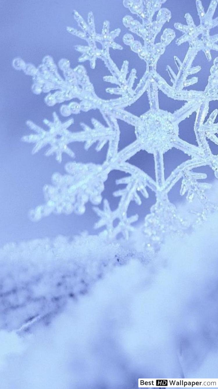 750x1334 Single snowflake and snow HD wallpaper download