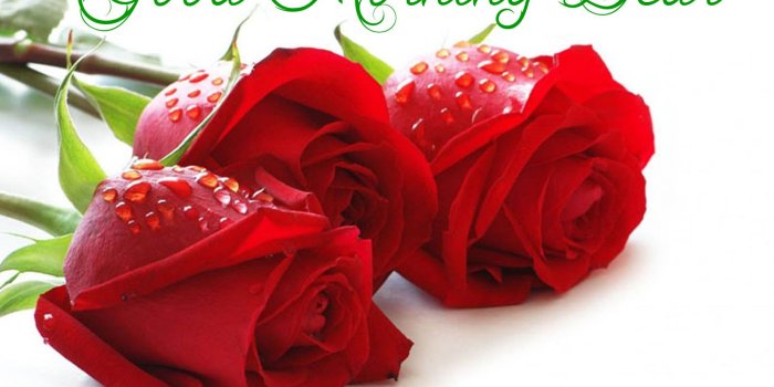 1920x1440 Good Morning Wallpapers - Top Free Good Morning Backgrounds -  WallpaperAccess