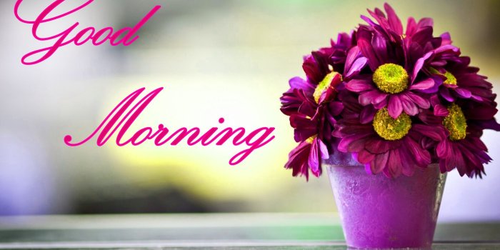 1598x989 Good Morning Wallpapers - Top Free Good Morning Backgrounds -  WallpaperAccess