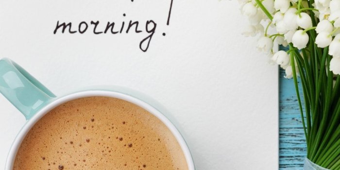 1080x1920 Iphone Wallpaper Good Morning, Coffee, Lilies Of The - Good Morning Saeed -  1080x1920 Wallpaper - teahub.io