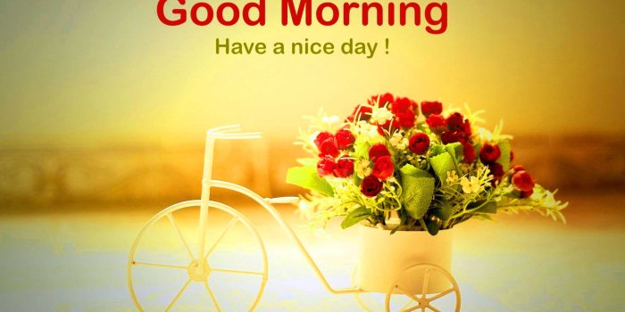 2389x1424 Morning Wallpapers