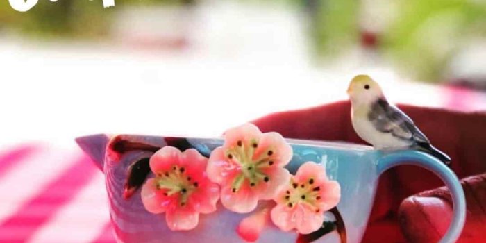 1080x1080 Morning Wallpapers - Top Free Morning Backgrounds - WallpaperAccess