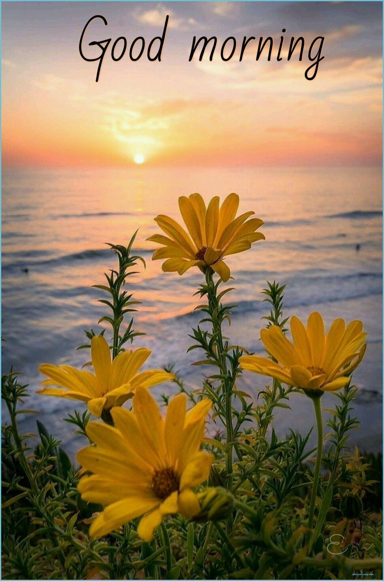 1314x1986 Nature Good Morning Wallpapers - Nature Good Morning Images  | Neat