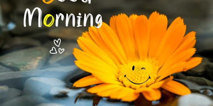 1920x1917 250+ Good Morning Images, Pictures & Beautiful Morning Wishes 2021