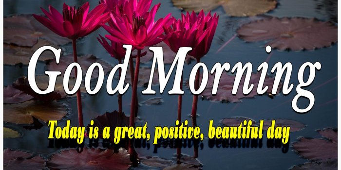 1920x1440 156+ Fresh Good Morning Wallpaper Free Download For Whatsapp Hd Download - Good  Morning