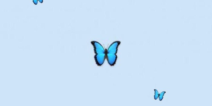 750x1334 Aesthetic Baby Blue Wallpapers -