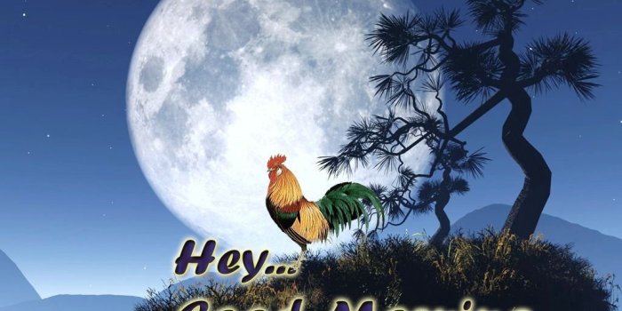 1024x768 55 Fresh Good Morning Wishes