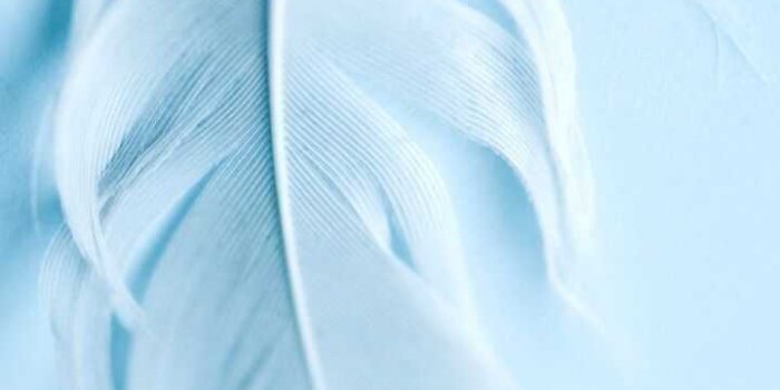 720x1280 Baby Blue Wallpaper - iXpap