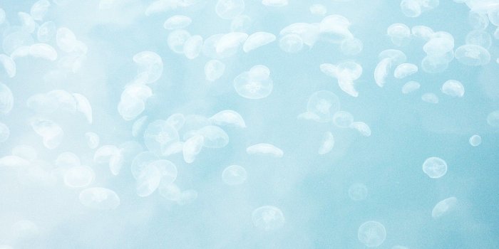 1500x1159 Light Blue Wallpapers - Broken Panda